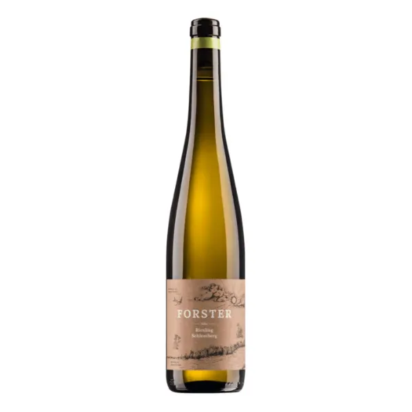 WEINGUT FORSTER | Burg Layer Schlossberg Riesling 2019 trocken